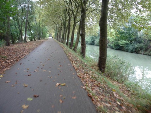 The path by the canal