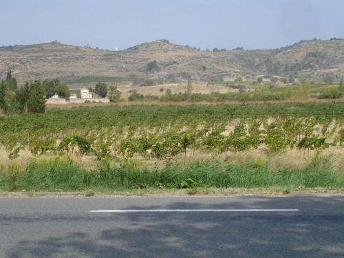 Drier landscape and vineyards