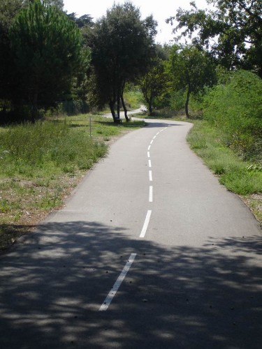 The cycle path