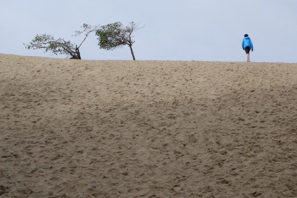 Sand dunes